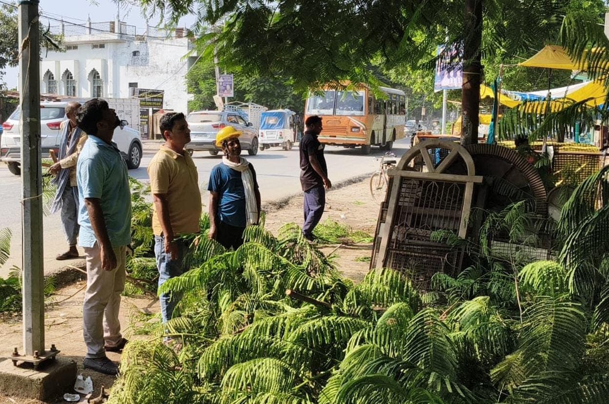 बिजली लाइनों के लिए खतरा बने पेड़ों की शाखाओं की कटिंग शुरू